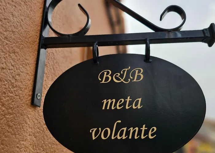 Meta Volante