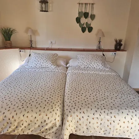 Meta Volante * Sagra