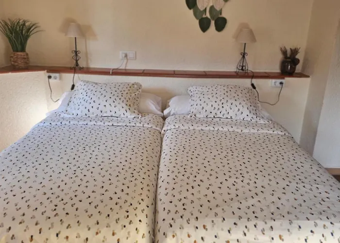 Meta Volante * Sagra